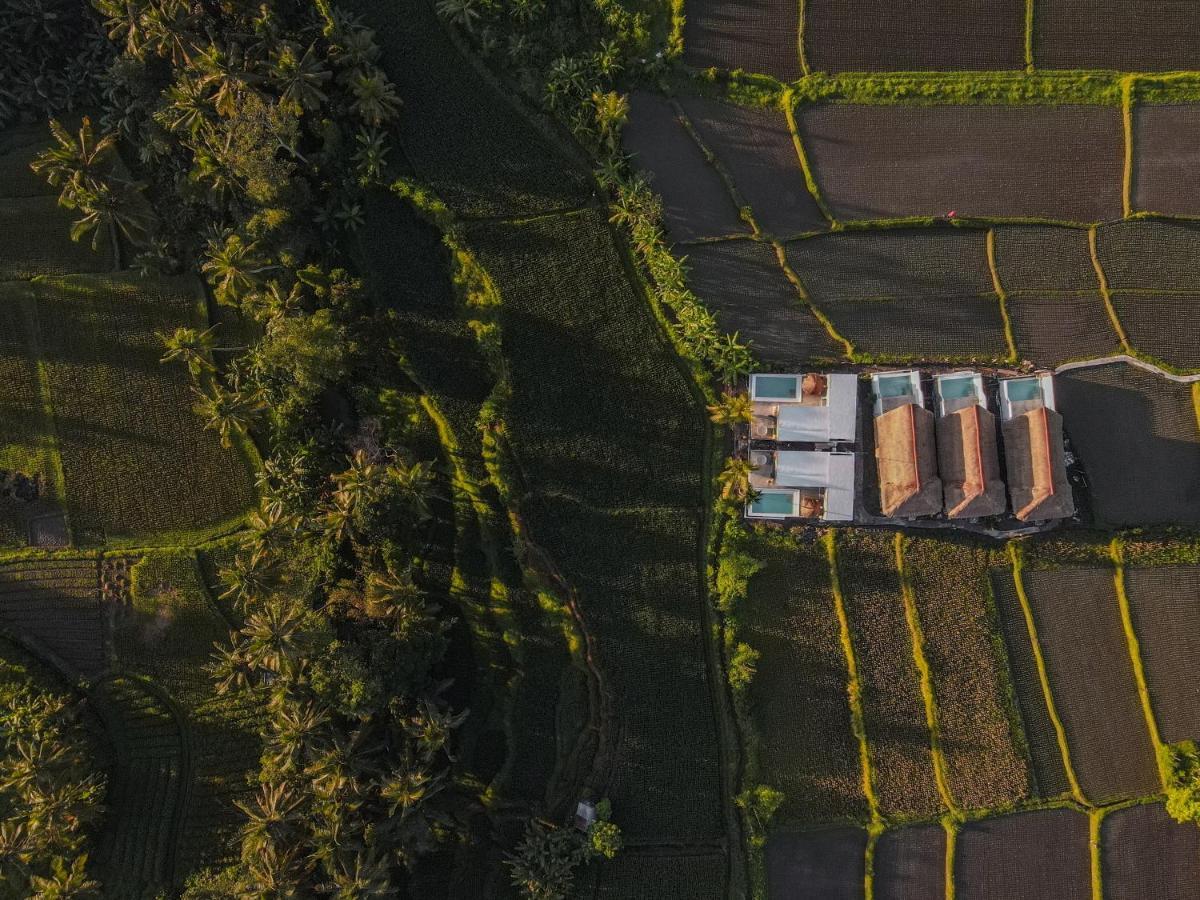 Woywoy Escape Samu (Adults Only) Villa Ubud  Exterior photo